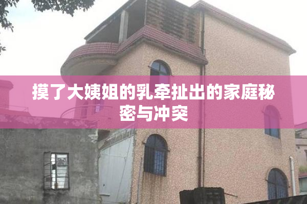 摸了大姨姐的乳牵扯出的家庭秘密与冲突