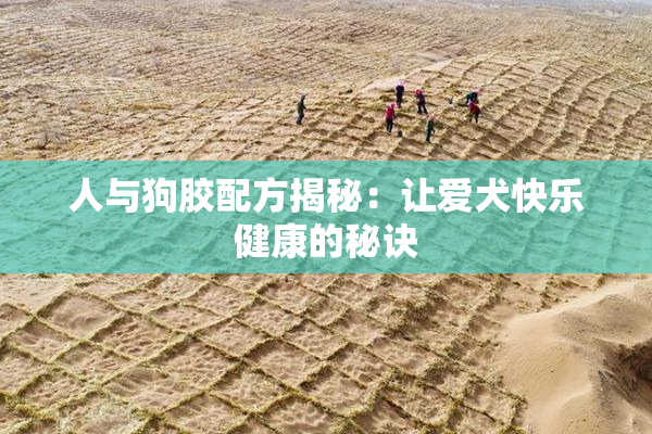 人与狗胶配方揭秘：让爱犬快乐健康的秘诀
