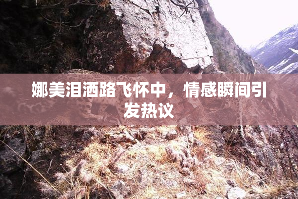 娜美泪洒路飞怀中，情感瞬间引发热议