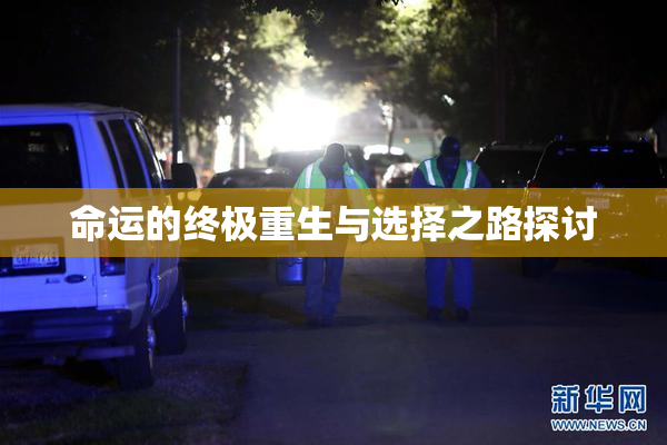 命运的终极重生与选择之路探讨