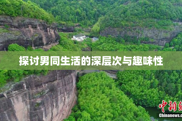 探讨男同生活的深层次与趣味性
