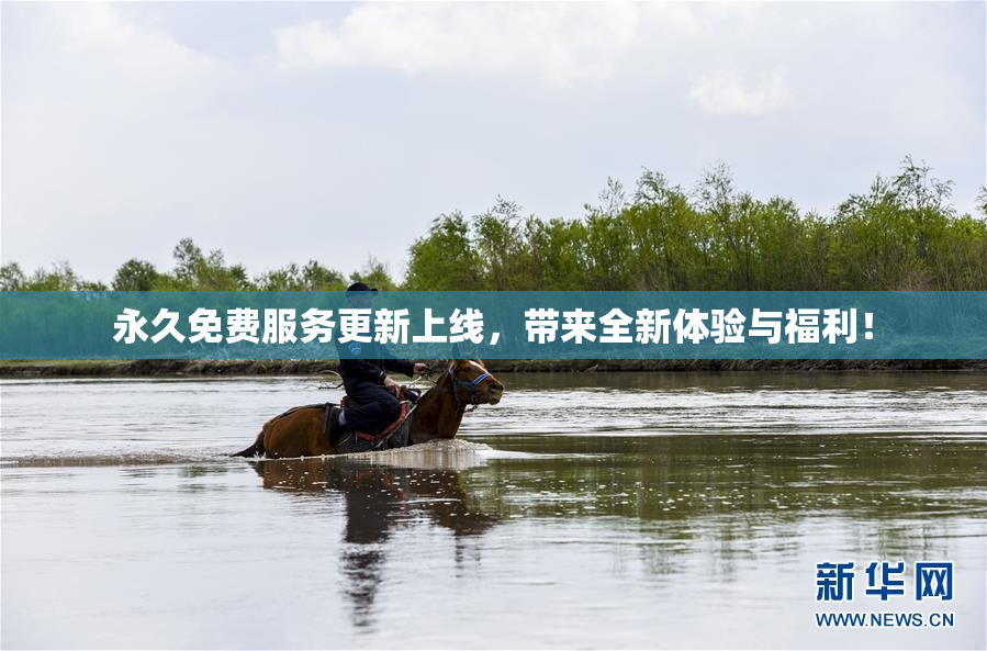 永久免费服务更新上线，带来全新体验与福利！