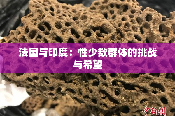 法国与印度：性少数群体的挑战与希望