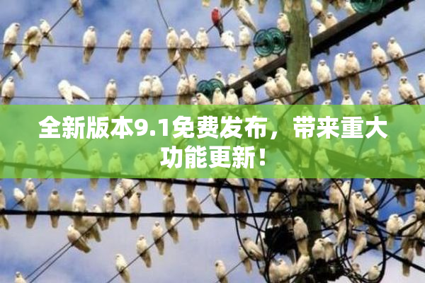 全新版本9.1免费发布，带来重大功能更新！