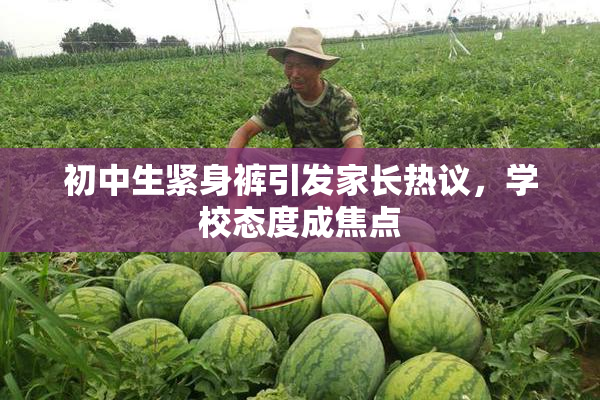 初中生紧身裤引发家长热议，学校态度成焦点