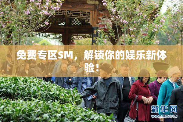 免费专区SM，解锁你的娱乐新体验！