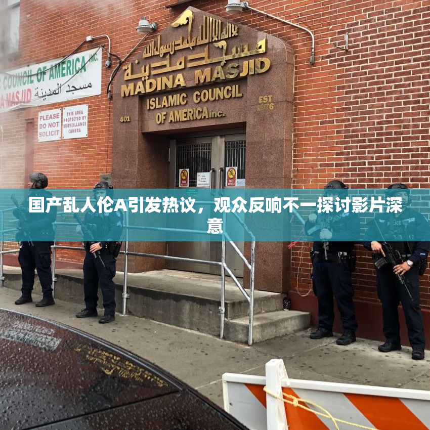 国产乱人伦A引发热议，观众反响不一探讨影片深意