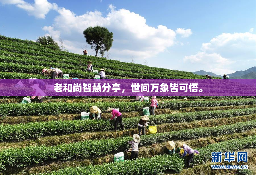 老和尚智慧分享，世间万象皆可悟。
