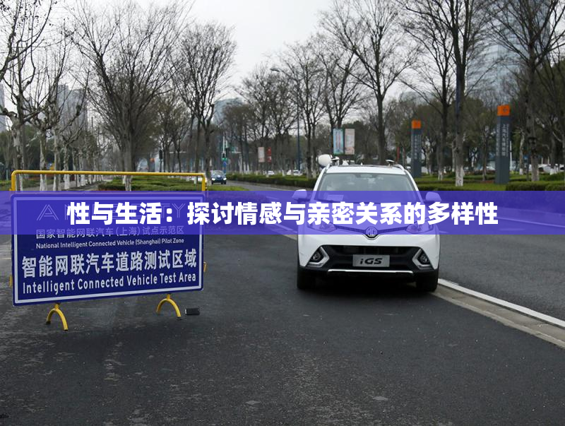 性与生活：探讨情感与亲密关系的多样性