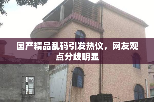 国产精品乱码引发热议，网友观点分歧明显