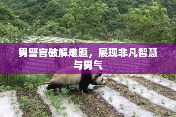 男警官破解难题，展现非凡智慧与勇气