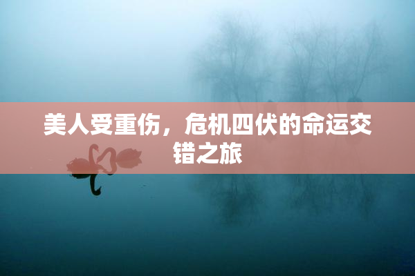 美人受重伤，危机四伏的命运交错之旅