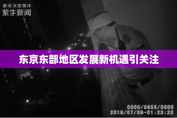 东京东部地区发展新机遇引关注