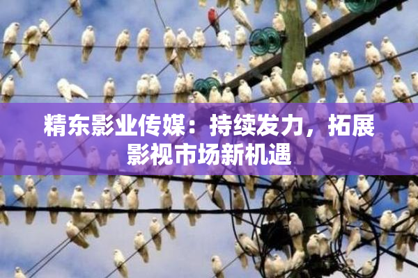 精东影业传媒：持续发力，拓展影视市场新机遇