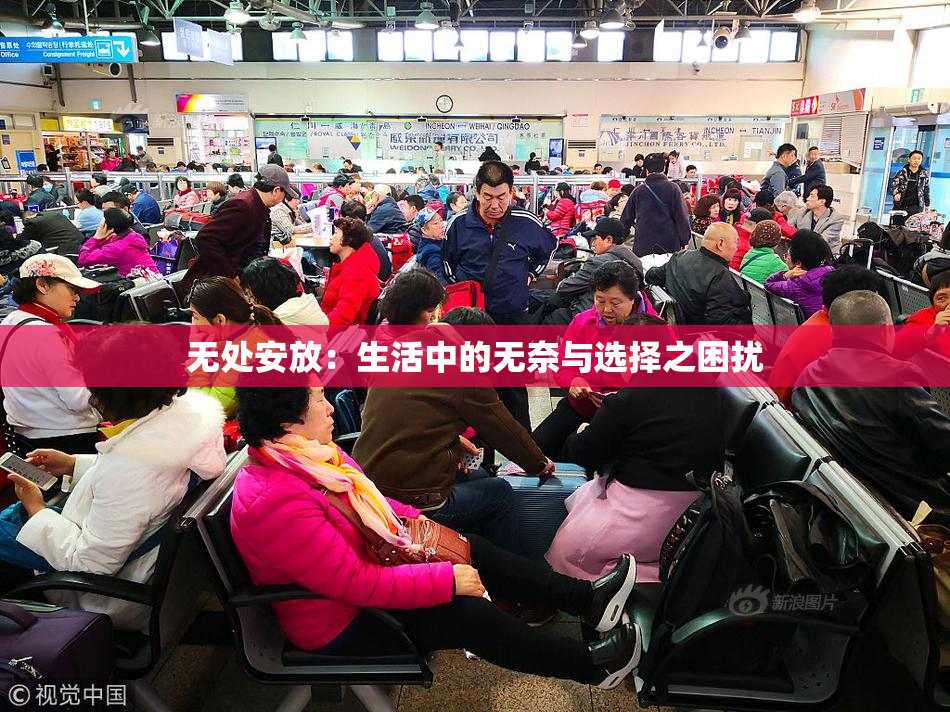 无处安放：生活中的无奈与选择之困扰