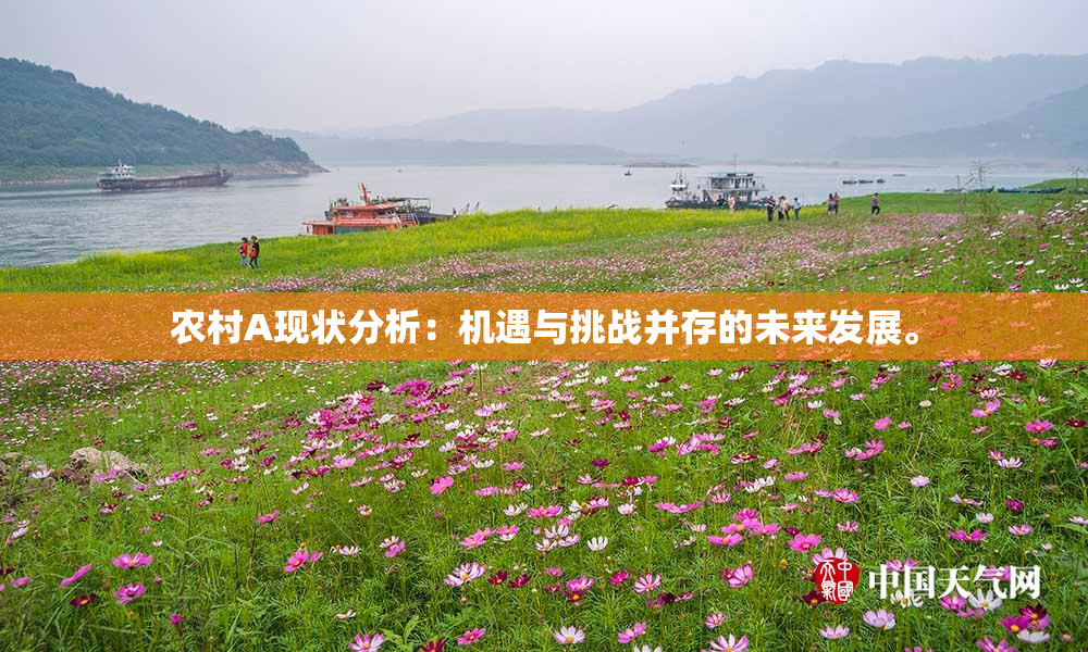农村A现状分析：机遇与挑战并存的未来发展。