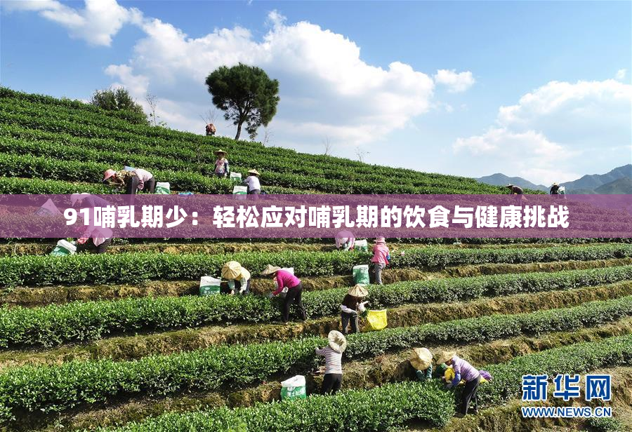 91哺乳期少：轻松应对哺乳期的饮食与健康挑战