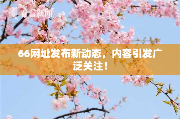 66网址发布新动态，内容引发广泛关注！