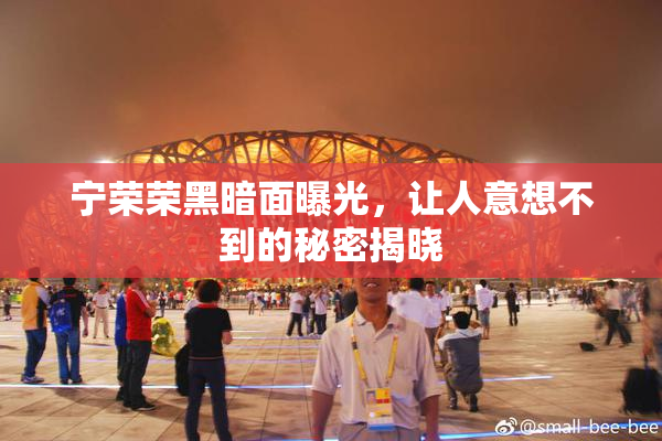 宁荣荣黑暗面曝光，让人意想不到的秘密揭晓