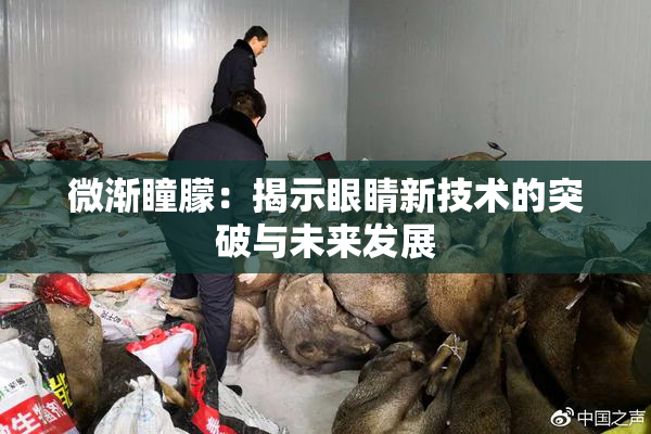 微渐瞳朦：揭示眼睛新技术的突破与未来发展