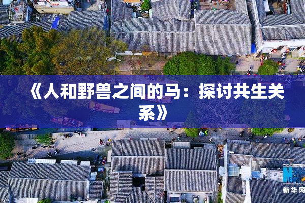 《人和野兽之间的马：探讨共生关系》