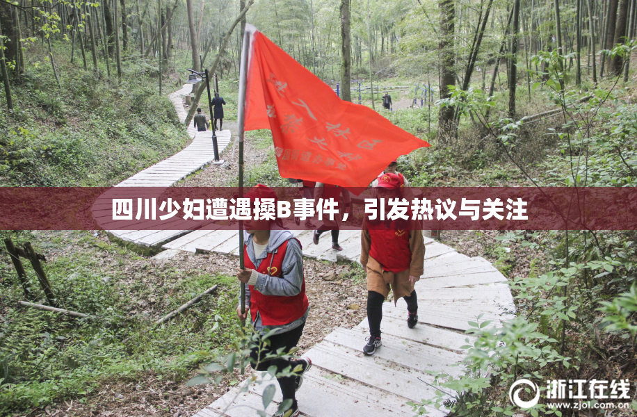 四川少妇遭遇搡B事件，引发热议与关注