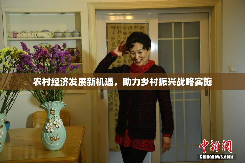 农村经济发展新机遇，助力乡村振兴战略实施