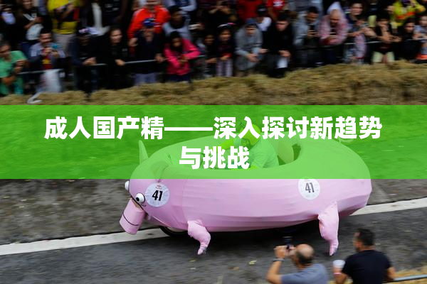 成人国产精——深入探讨新趋势与挑战