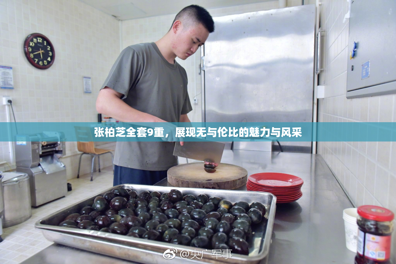 张柏芝全套9重，展现无与伦比的魅力与风采