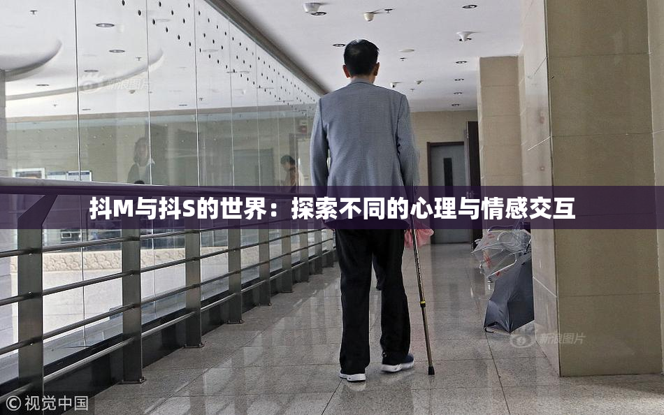 抖M与抖S的世界：探索不同的心理与情感交互