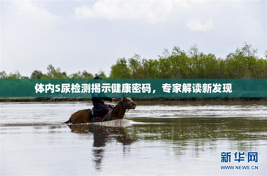 体内S尿检测揭示健康密码，专家解读新发现