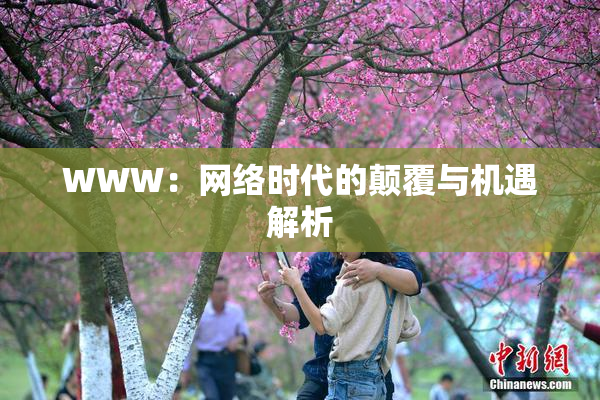 WWW：网络时代的颠覆与机遇解析