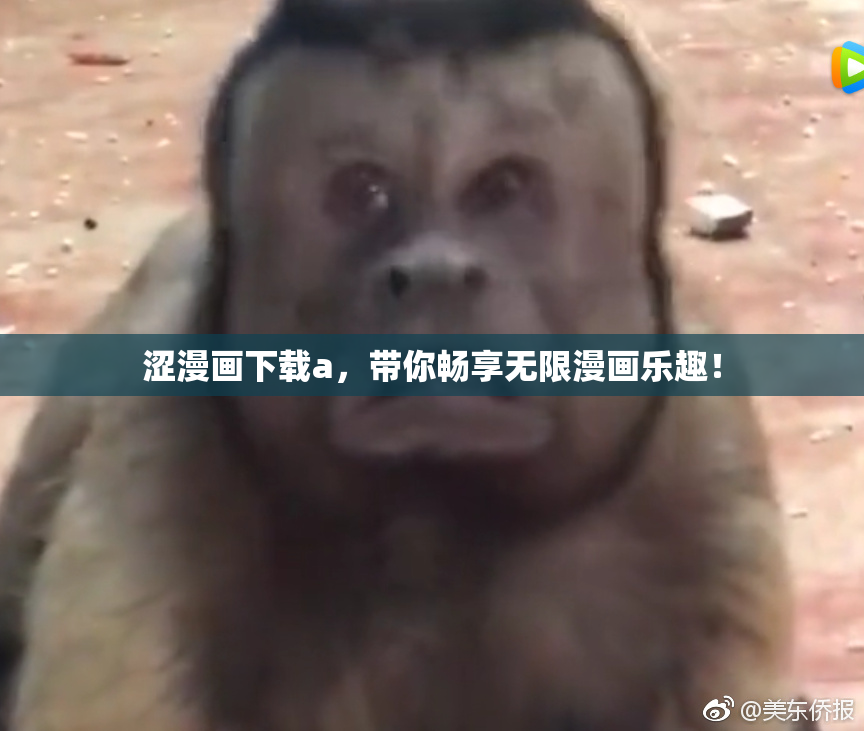涩漫画下载a，带你畅享无限漫画乐趣！