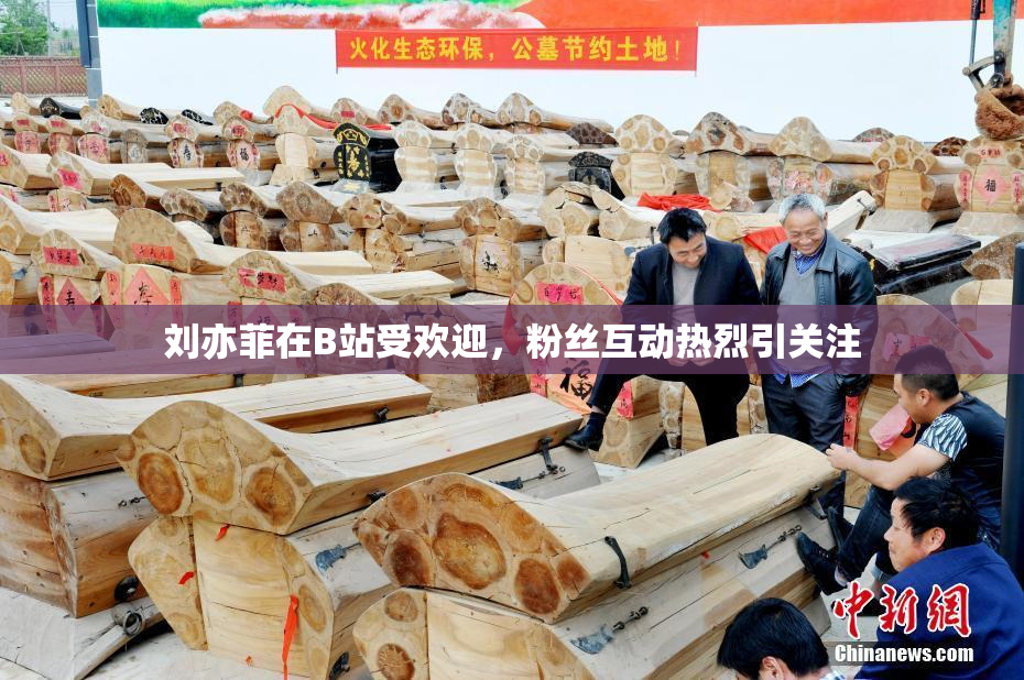 刘亦菲在B站受欢迎，粉丝互动热烈引关注