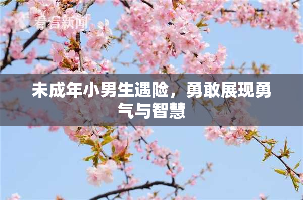 未成年小男生遇险，勇敢展现勇气与智慧