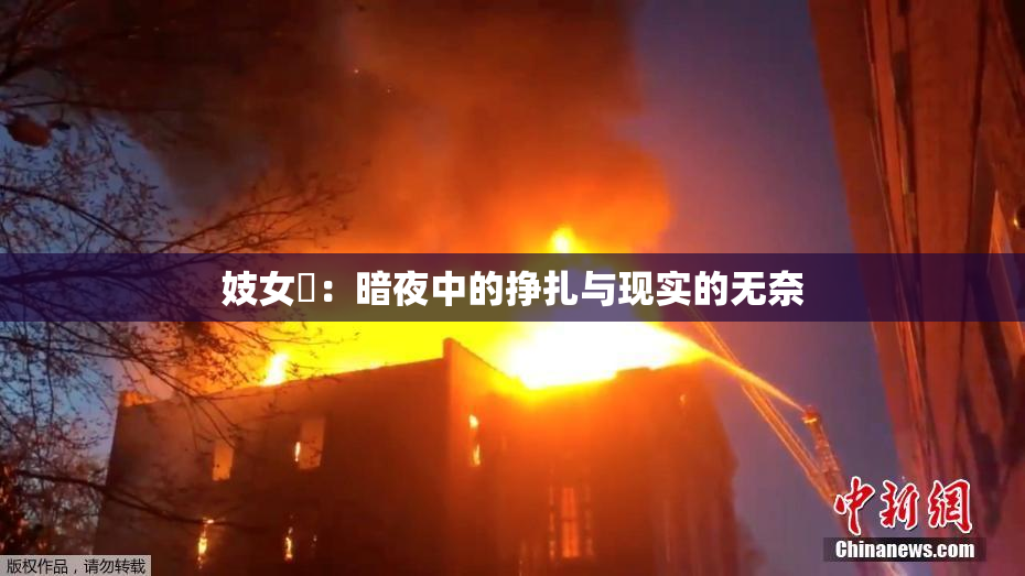 妓女梱：暗夜中的挣扎与现实的无奈