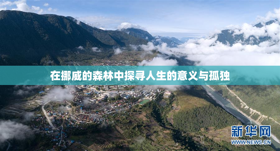 在挪威的森林中探寻人生的意义与孤独