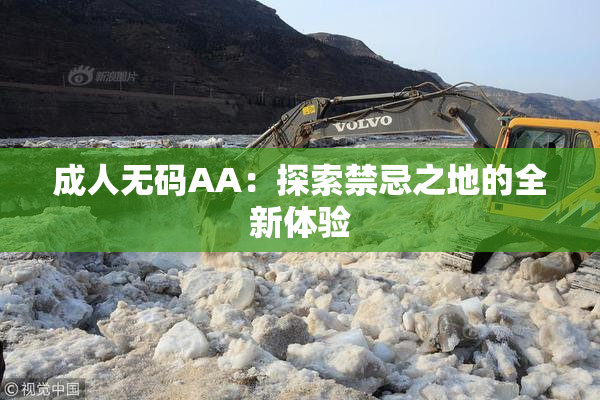 成人无码AA：探索禁忌之地的全新体验