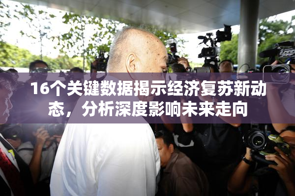 16个关键数据揭示经济复苏新动态，分析深度影响未来走向