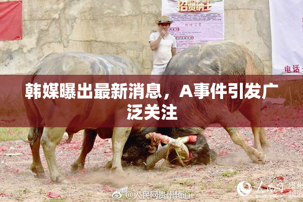 韩媒曝出最新消息，A事件引发广泛关注