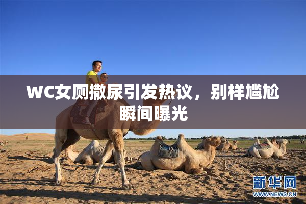 WC女厕撒尿引发热议，别样尴尬瞬间曝光