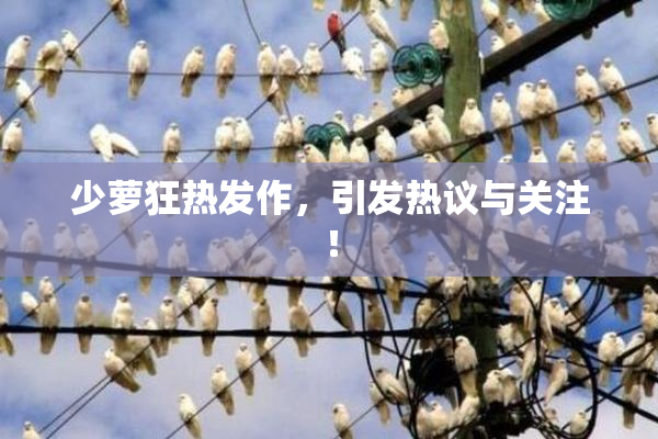 少萝狂热发作，引发热议与关注！