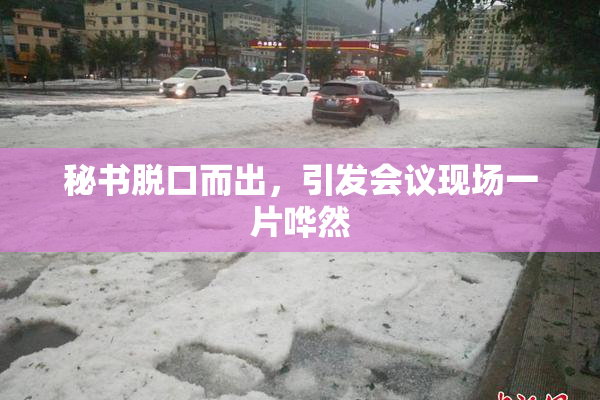 秘书脱口而出，引发会议现场一片哗然