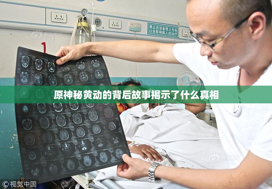 原神秘黄动的背后故事揭示了什么真相
