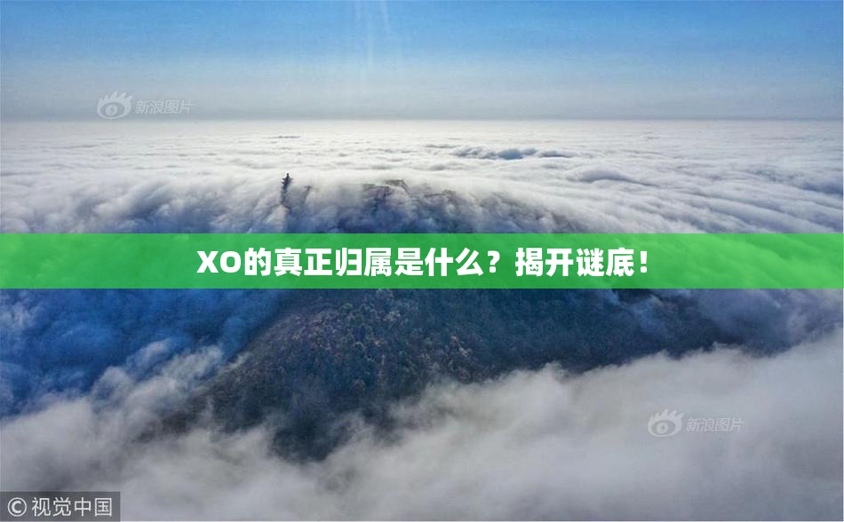 XO的真正归属是什么？揭开谜底！