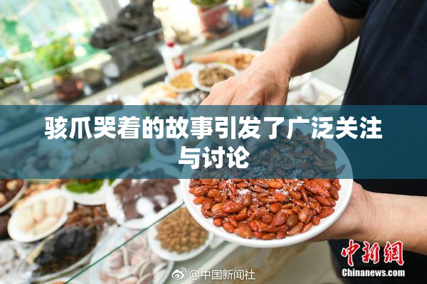 骇爪哭着的故事引发了广泛关注与讨论